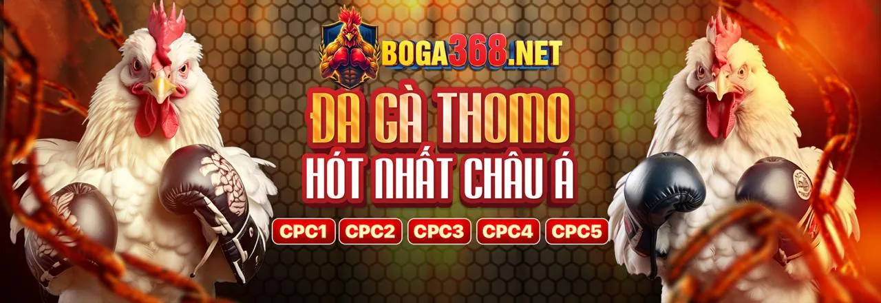Bảng điều khiển cá cược trực tiếp với số liệu thống kê thời gian thực